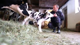 Bauernbundobmann LH-Stv. ÖR Josef Geisler